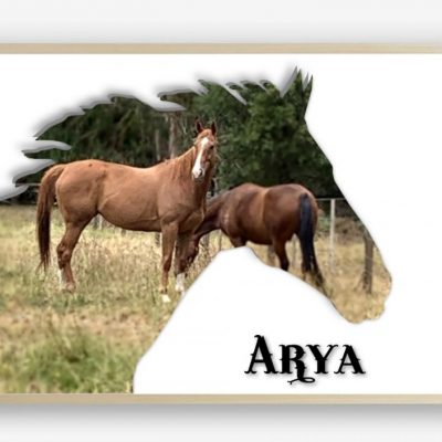 Custom Horse Silhouette Photo Collage Print